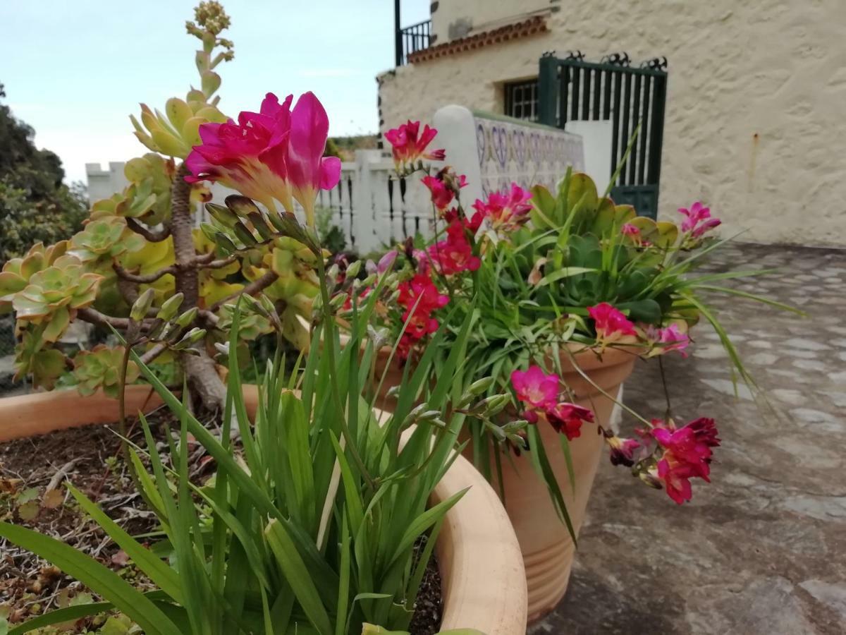 Grosse Finca 19Jh, Pool, Terrasse, Nahe Santa Cruz سانتا كروث ذي لا بال المظهر الخارجي الصورة