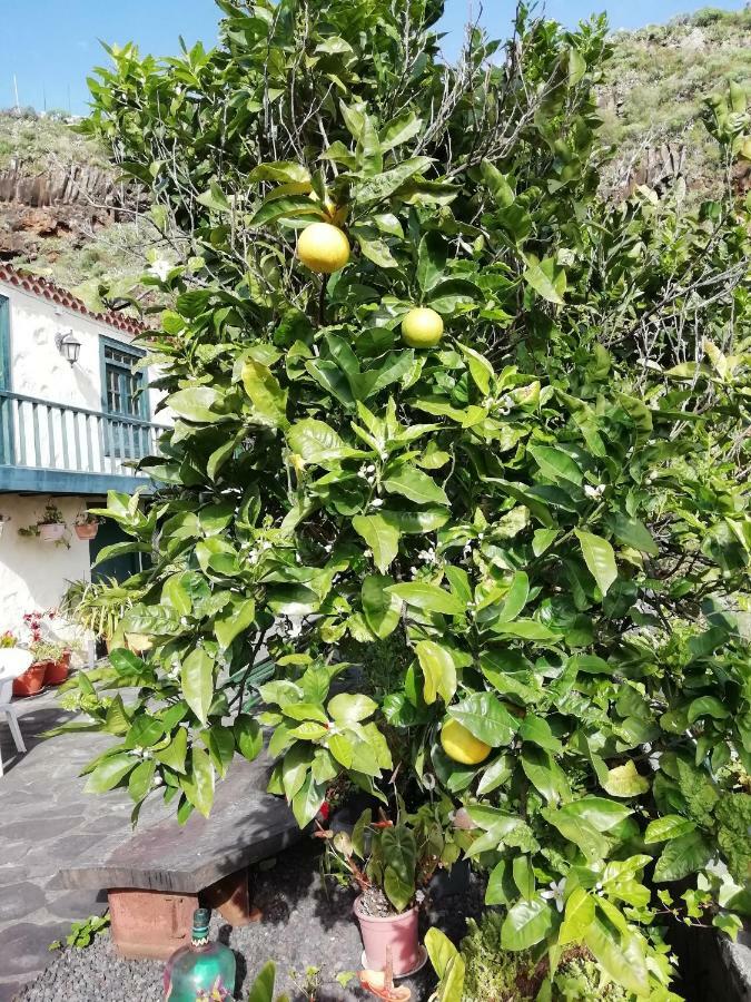 Grosse Finca 19Jh, Pool, Terrasse, Nahe Santa Cruz سانتا كروث ذي لا بال المظهر الخارجي الصورة